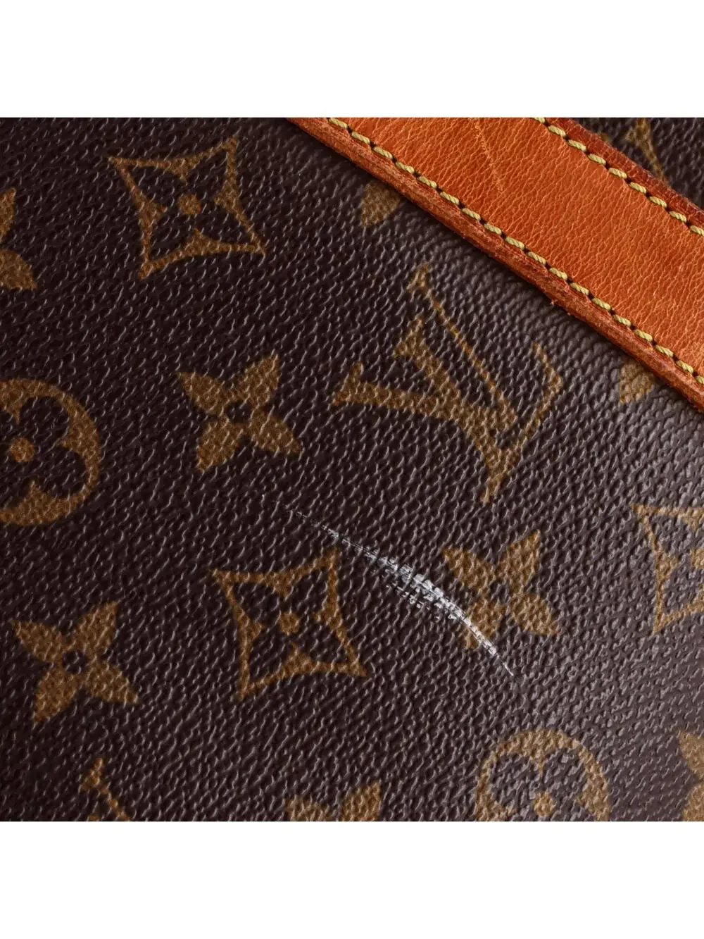 Louis Vuitton Flanerie Handbag Canvas #242637L74B